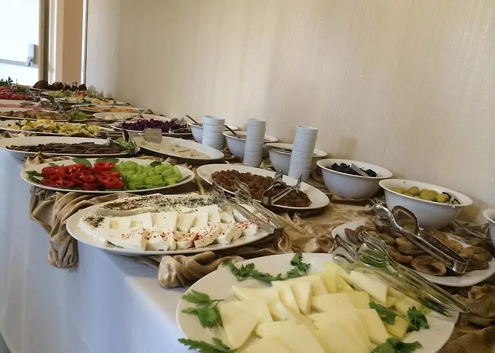 Old Panorama Hotel 3*