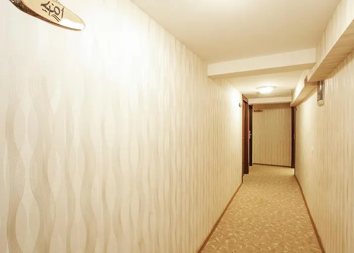 Hotel Old Panorama 3*